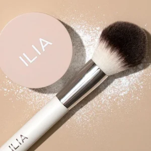 Alternative view of Finishing Powder Brush